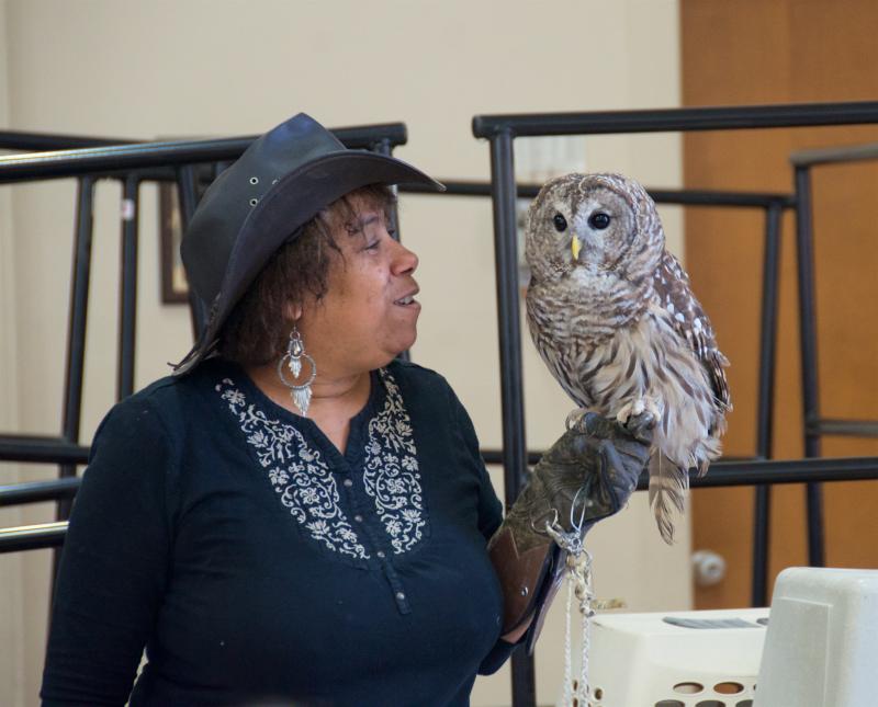 The barred owl's hoot sounds like "Who cooks for you, who cooks for you all" said Isaac. This owl is named Babe. BY GEORGIA SPARLING